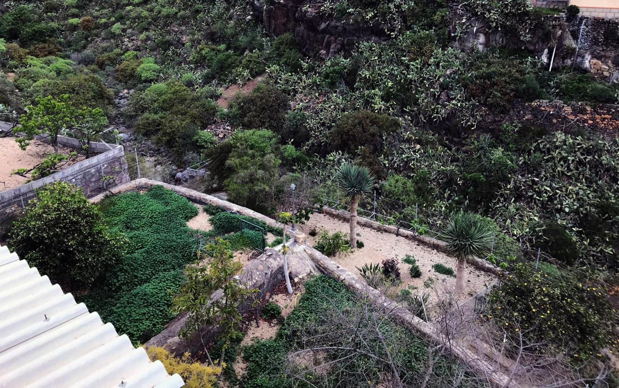 Acogedor Apartamento En San Miguel De Abona Esterno foto